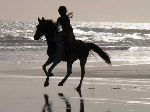 ... of mine that I've adored ages ago ... and that's ridding horses