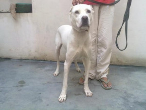 Funny Quotes Contact Dmca