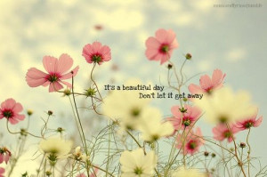 quotes quote beautiful day flowers gorgeous