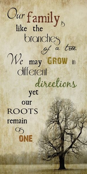 family tree inspirational quotes about family trees