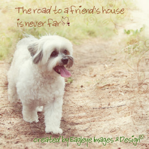 Animal Quotes Inspirational Quotes Quot gt Animal Quotes lt a gt