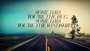 Tags: bug , quote , windshield