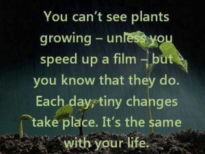 You can't see plants growing.