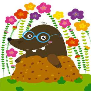 National Mole Day http://www.mybekins.com/mymovingnews/index.php/2012 ...
