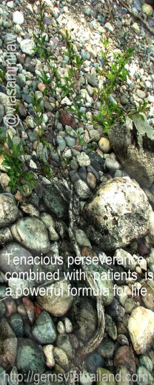 Life is often NOT a bed of roses.