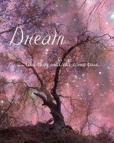 DREAM Quote Raspberry ENCHANTED FOREST Stars Full Moon at Twlight Art ...