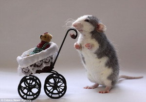 ... Families! Photographers uses pet rats to create everyday human scenes