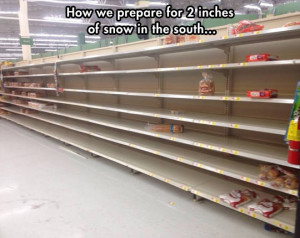 funny-picture-store-snow-shelves-south