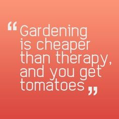 nothing like tomatoes