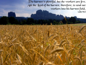 ... of the harvest, that he would send forth labourers into his harvest