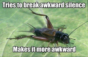... animals photo meme silence Awkward cricket awkward silence crickets