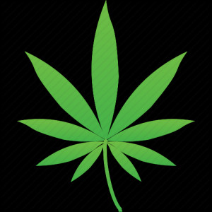 Related Pictures green drugs marijuana plants pot weed desktop ...