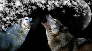Howling wolves quotes lupus white animal