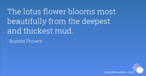 The lotus flower blooms most beautifully from the deepest and thickest ...