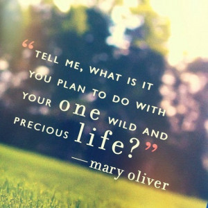 ... it you plan to do with your one wild and precious life?