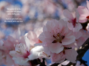 Modified original Flowers of an apple tree from 4freephotos.com