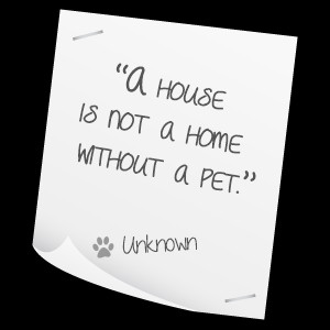 Fabulous Pet Quotes to Start Your Week Right