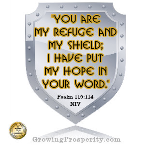 You Are My Shield – Psalm 119:114 Christian Meditation