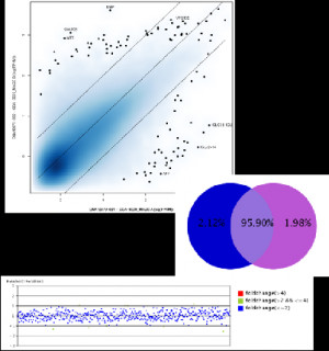 Sequencing Illumina