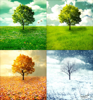 The Four Seasons - Vivaldi by ~ IrvingGFM
