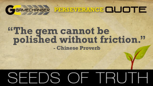 Seeds - Perseverance - Chinese Proverb