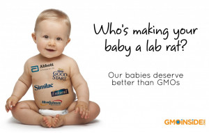 companies using GMOs in baby formula