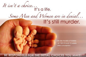 ... said | Live Action News... I think they are grasping at straws