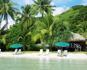 nature wallpaper nature wallpaper nature wallpaper nature wallpaper ...