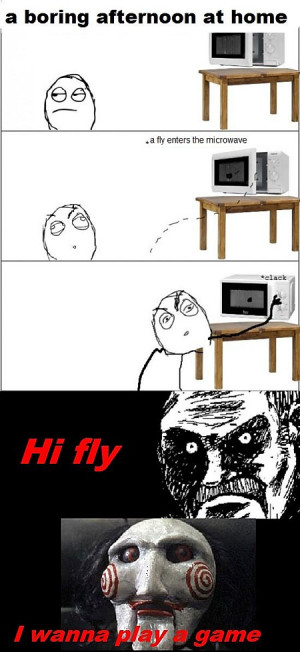 Funny photos funny fly inside microwave Saw
