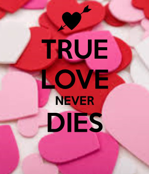 true love never dies true love never dies by