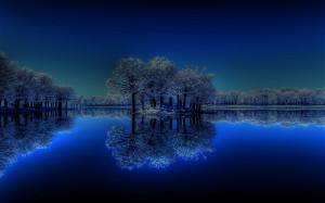 Winter night the lake picture calm tree hd HD Wallpaper