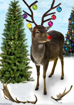 Sarah Palin Opening Day Deer Hunting Season Funny Pictures