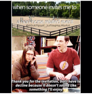 Horse Quotes for Instagram