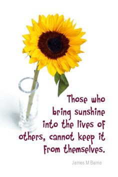 quote #quoteoftheday Those who bring sunshine into the lives of others ...