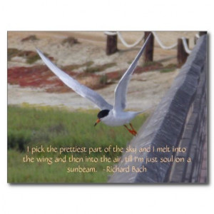Bird in Flight Post Cards - Richard Bach #quote #positivity