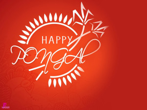Happy Harvest Festival Celebration Pongal Happy Pongal Greetings and ...