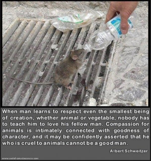 Compassion for animals picture quotes image sayings