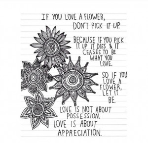 drawing, flowers, love, paper, pretty, quote, tumblr, word