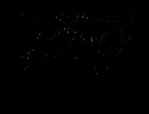 Quotes Picture: no buts, tired of the butsall i want too hear isyes ...