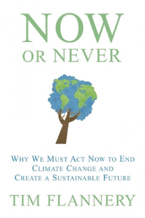 Now or Never: Why We Must Act Now to End Climate Change and Create a ...