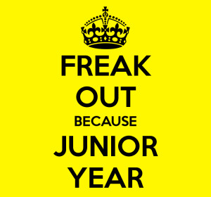 Junior Year:
