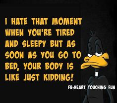 When You Cant Sleep funny quotes quote sleep funny quote funny quotes ...
