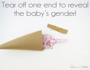 Gender Reveal Pouch For