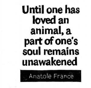 ... - Anatole France Quote - Until one has loved an animal, a part of
