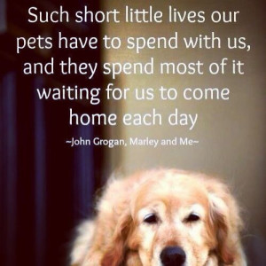... it waiting for us to come home each day