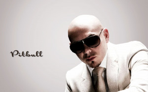 Pitbull Singer Wallpaper,Images,Pictures,Photos,HD Wallpapers