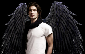 house of night stark quotes. house of night stark