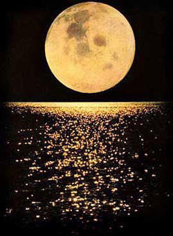 full moon a woolgathering world idles lorraine under every full moon ...
