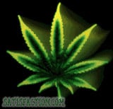 Weed & Marijuana Preview Image 3
