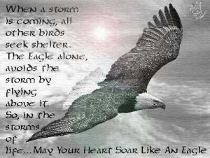 When a Storm is Coming, All Other Birds Seek Shelter. The Eagle Alone ...